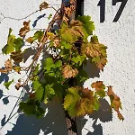 Draga 17 Lägenhet *