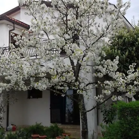 Apartmán Draga 17