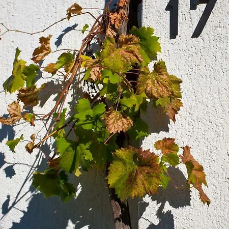 Draga 17 Apartmán *