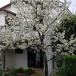 Apartman Draga 17